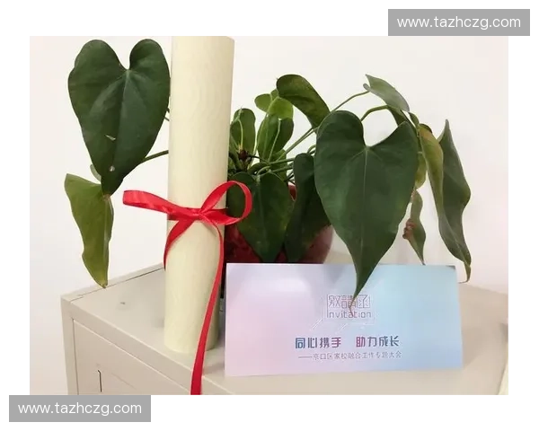 CSGO跳跃图挑战极限技巧 完美掌握跳跃技巧助力提升操作水平